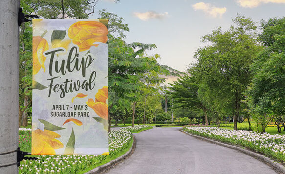 Mesh Banner Festival