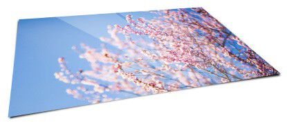 glossy print