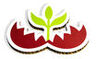 Falconboard-Logo