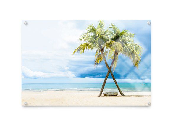 Acrylic Print (26x20)