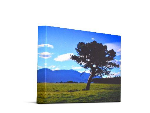 Canvas Print