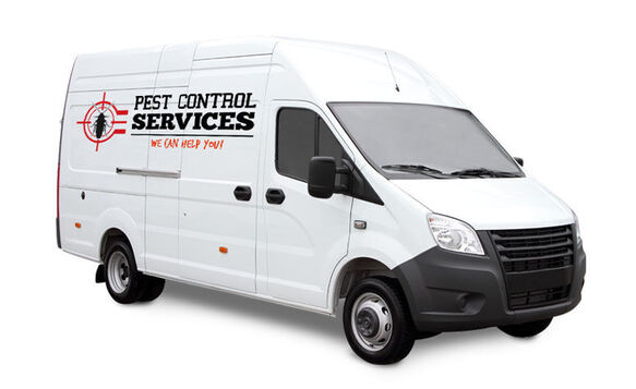 Fleet Lettering Pest Control Van