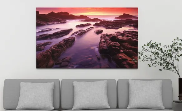 Rolled Canvas Prints alt b