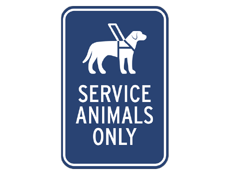 Service Animal