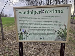 Signs Signs everywhere there's Signs!