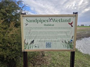 Signs Signs everywhere there's Signs!