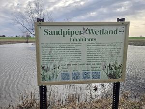 Signs Signs everywhere there's Signs!