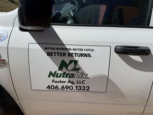 Car Magnets
