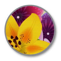 Clear Vehicle Decal - Indoor Outdoor Icon